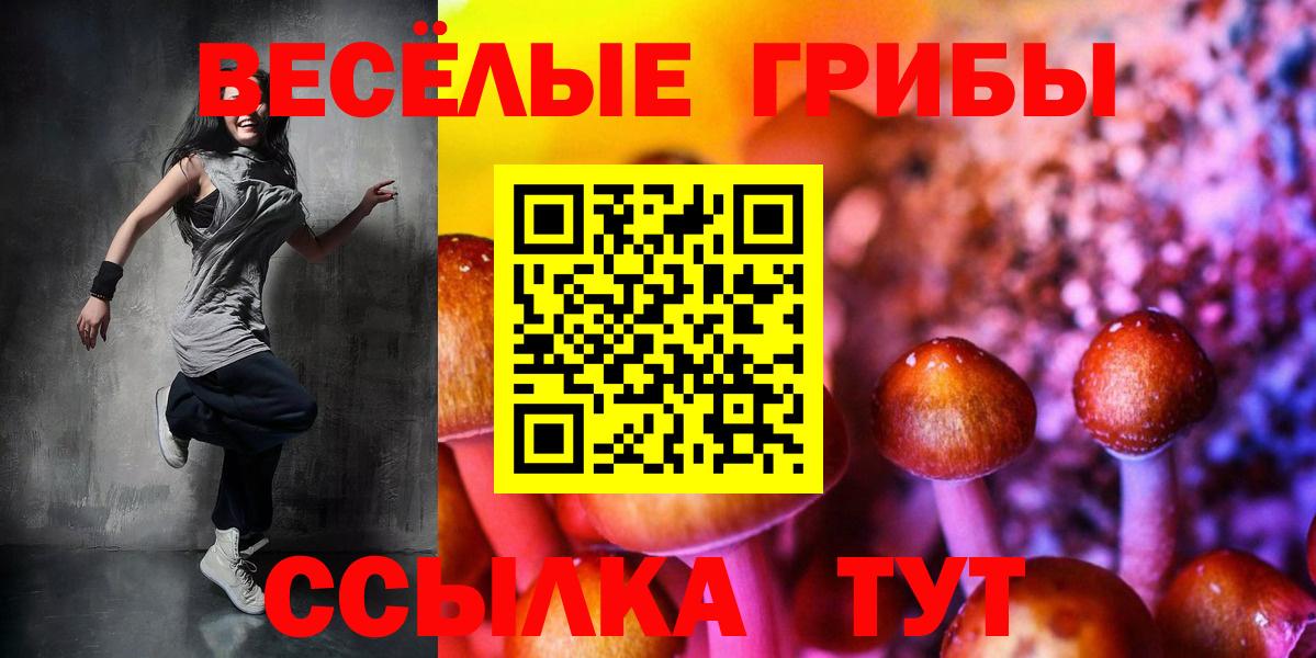 Псилоцибиновые грибы прущие грибы  Вход с VPN  Галлюциногенные грибы Magic Shrooms  как найти   Прохладный 